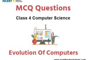Evolution of Computers Class 4 Computer MCQ Questions