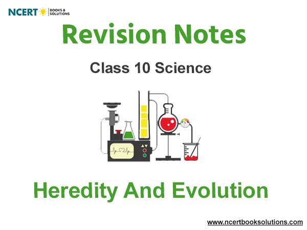 Notes And Questions For NCERT Class 10 Science Heredity And Evolution