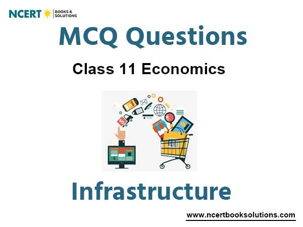 Infrastructure Class 11 Economics MCQ Questions