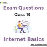 Internet Basics Class 10 Computer Science Exam Questions