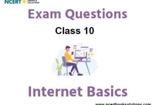 Internet Basics Class 10 Computer Science Exam Questions