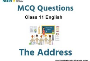 MCQs For NCERT Class 11 Chapter 2 The Address