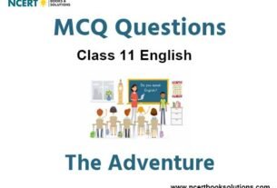 MCQs For NCERT Class 11 Chapter 7 The Adventure