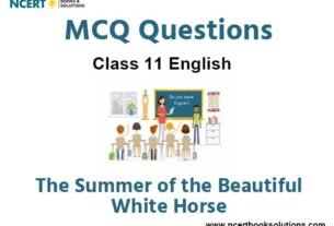 MCQs For NCERT Class 11 Chapter 1 The Summer of the Beautiful White Horse