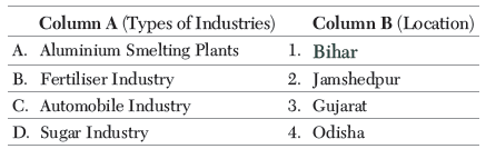 Manufacturing Industries Class 10 Social Science Exam Questions