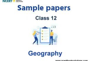 Class 12 Geography Sample Paper Term 2 With Solutions Set A
