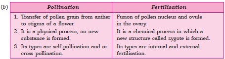How do the Organisms Reproduce Class 10 Science Exam Questions