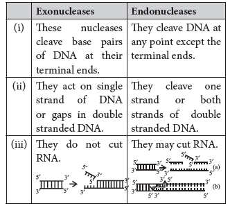 VBQs Class 12 Biology Biotechnology Principles and Processes