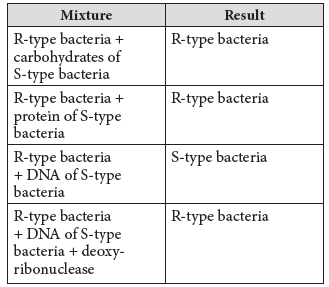 VBQs Class 12 Biology Molecular Basis of Inheritance