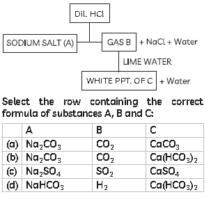 Class 10 Science Sample Paper Term 1 With Solutions Set F