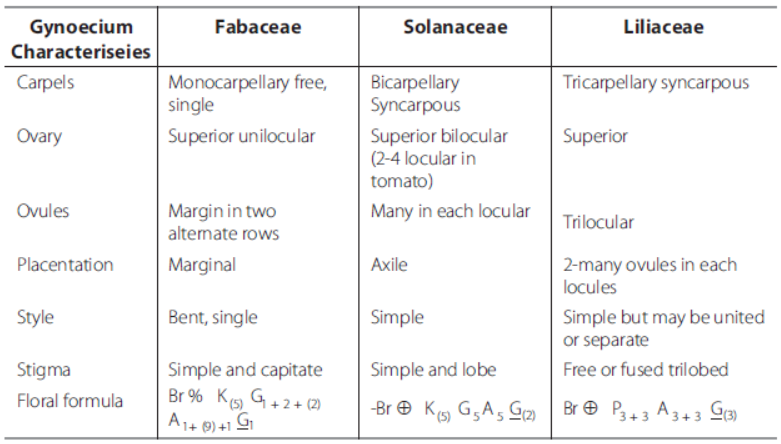 Morphology of Flowering Plants Class 11 Biology Exam Questions