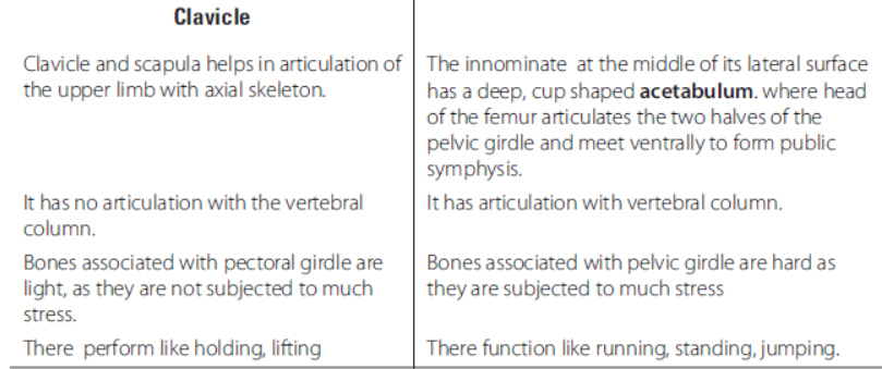Locomotion and Movement Class 11 Biology Exam Questions